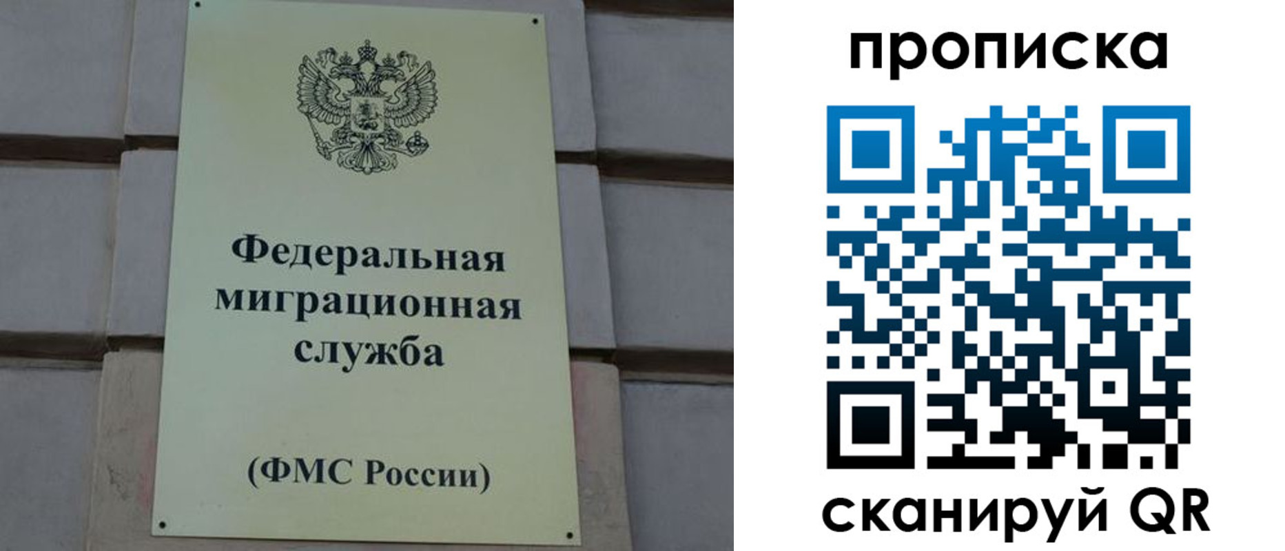 прописка поиск в Челябинской области